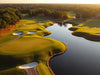 FedEx St. Jude Championship 2025: Players List
